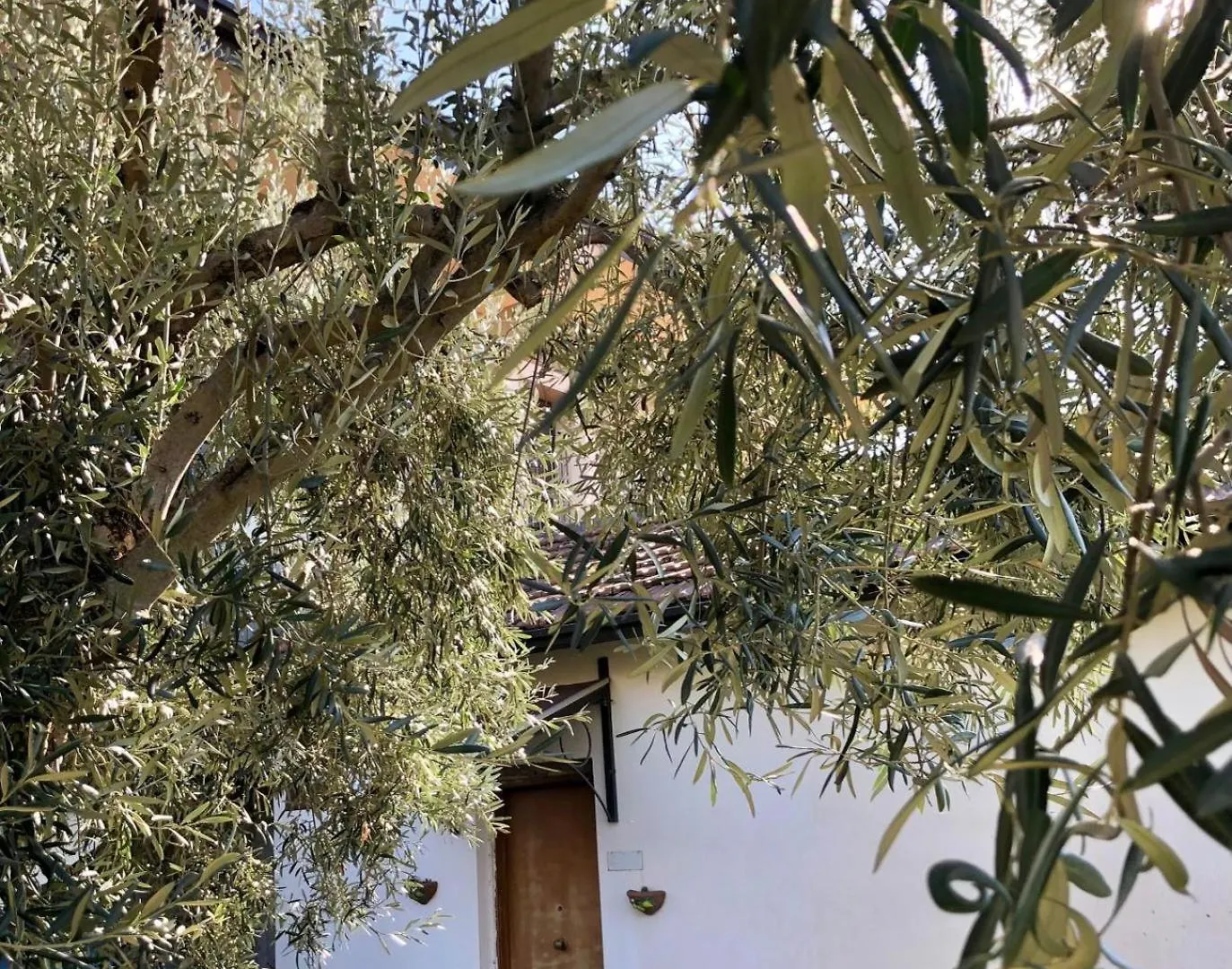 Casa Vacanza L'Ulivo Paterno  Paterno (Sicily)