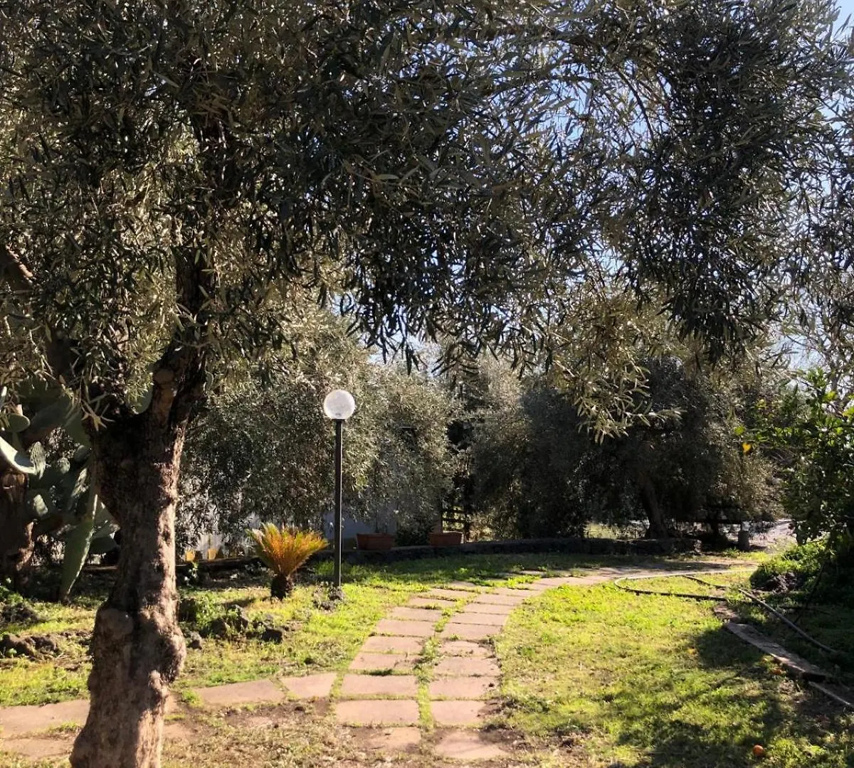Casa Vacanza L'Ulivo Paterno
